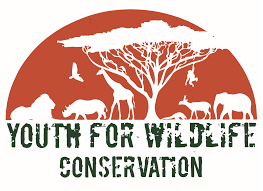 Youth for Conservation